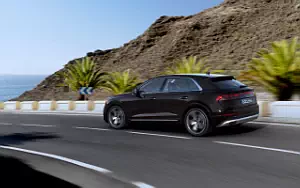 Audi Q8 55 TFSI e quattro  
