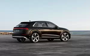 Audi Q8 55 TFSI e quattro  